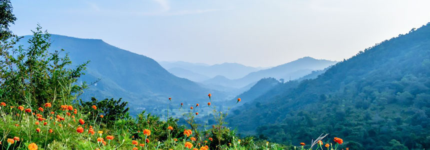 Araku Valley