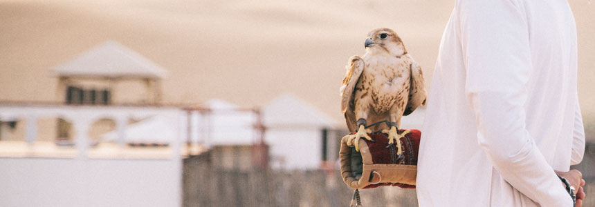 The Culture of Dubai