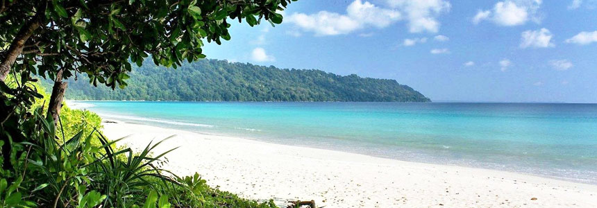 Havelock Island